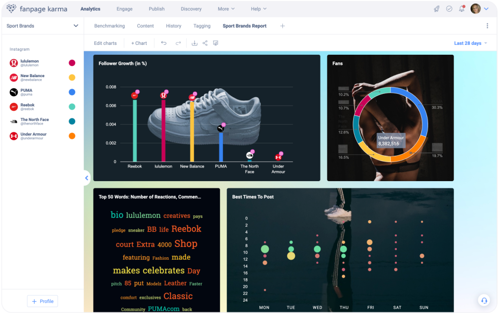 A view of the Fanpage Karma dashboard shared with other users